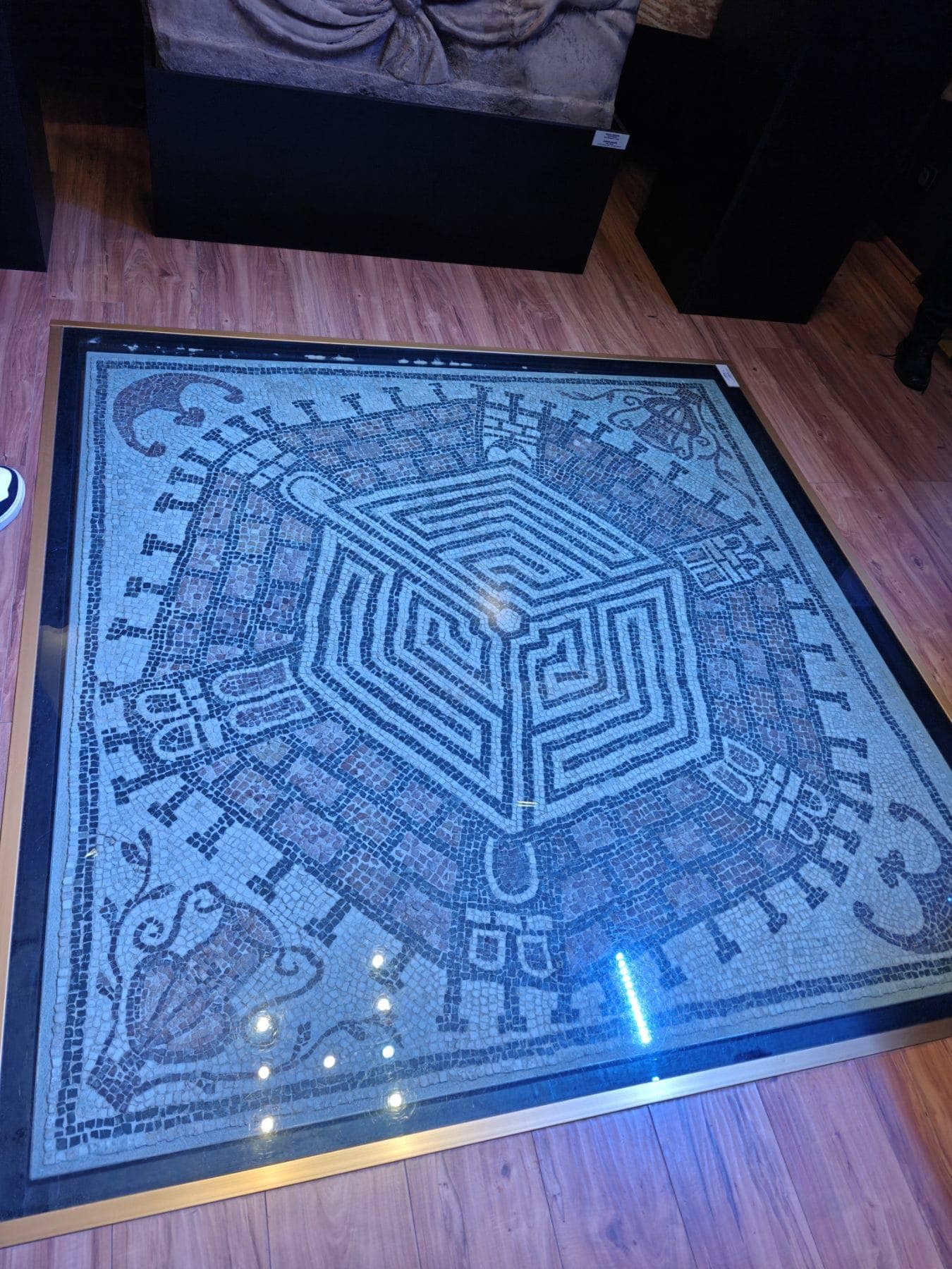 WhatsApp Image 2026-04-01 at 09.30.39 (1).jpeg